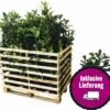 FloraSelf 35 X Kirschlorbeer, Lorbeerkirsche Prunus Laurocerasus 'Caucasica' H 80-100 Cm ClickCo Für Ca. 14 M Hecke -FloraSelf Geschäft DV 8 10013271 04 4c DE 20200220154757