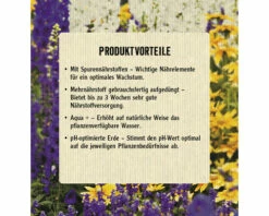 Blumenerde Leicht FloraSelf Select (42 Sack X 25 Liter=1,05 M³) 1 Palette -FloraSelf Geschäft DV 8 10091403 06 4c AT 20220412181751