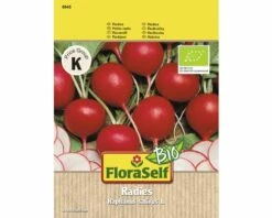 BIO-Radies FloraSelf Rund, Rot Gemüsesamen