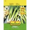 Lauchzwiebel 'Kaigaro' FloraSelf Samenfestes Saatgut Gemüsesamen -FloraSelf Geschäft DV 8 10319866 01 4c AT 20200730151759