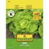 Kopfsalat 'John' FloraSelf Samenfestes Saatgut Salatsamen -FloraSelf Geschäft DV 8 10319869 01 4c AT 20200730154651