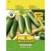 Snack-Gurke Salamanda' FloraSelf F1 Hybride Gemüsesamen -FloraSelf Geschäft DV 8 10320031 01 4c AT 20200730153408