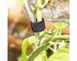 Universal-Klettbinder FloraSelf 12mm X 5m -FloraSelf Geschäft DV 8 10356589 02 4c AT 20201113081755