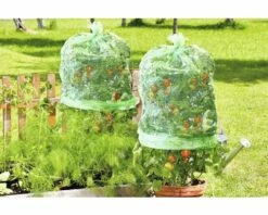 Tomaten Folienhaube FloraSelf Mitwachsend Ø 65 Cm H 125 Cm 5 Stk -FloraSelf Geschäft DV 8 10356590 01 4c AT 20201113051752