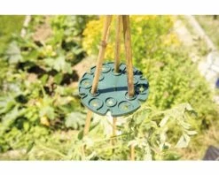 FloraSelf Rankhilfe Stabhalter Scheibe 2 Stk. -FloraSelf Geschäft DV 8 10356614 03 4c AT 20201112194651