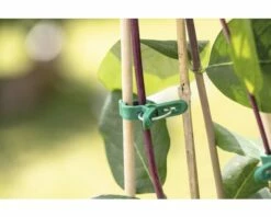 Pflanzclips FloraSelf MINI 15 Stk, Grün -FloraSelf Geschäft DV 8 10356618 03 4c AT 20201112164752