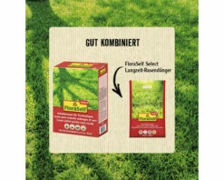 Schattenrasen Für Trockenlagen FloraSelf Select 1 Kg / 35 M² -FloraSelf Geschäft DV 8 10363059 03 4c AT 20230130151753