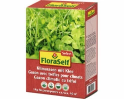 Klimarasen Mit Klee FloraSelf Select 1 Kg / 40 M²