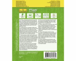 Rote Beete 'D'Egypte' FloraSelf Samenfestes Saatgut Gemüsesamen 5 Rote Beete 'D'Egypte' FloraSelf Samenfestes Saatgut Gemüsesamen -FloraSelf Geschäft DV 8 10476032 01 4c AT 20220114084650