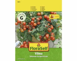 Tomate 'Vilma' FloraSelf F1 Hybride Gemüsesamen