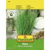 Schnittlauch 'Staro' FloraSelf F1 Hybride Kräutersamen -FloraSelf Geschäft DV 8 10476046 01 4c AT 20220114084650