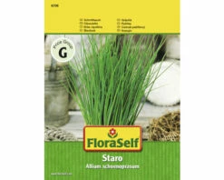 Schnittlauch 'Staro' FloraSelf F1 Hybride Kräutersamen
