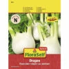 Knollenfenchel 'Dragon' FloraSelf F1 Hybride Gemüsesamen -FloraSelf Geschäft DV 8 10476095 02 4c AT 20220114084650