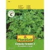 Petersilie Einfache Schnitt 3 FloraSelf Samenfestes Saatgut Kräutersamen -FloraSelf Geschäft DV 8 10476102 01 4c AT 20220114084650