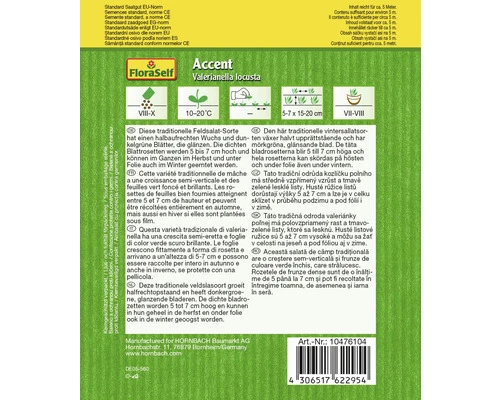 Feldsalat 'Accent' FloraSelf Samenfestes Saatgut Salatsamen 4 Feldsalat 'Accent' FloraSelf Samenfestes Saatgut Salatsamen – Bild 2