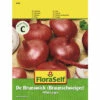 Zwiebel 'De Brunswick' FloraSelf Samenfestes Saatgut Gemüsesamen -FloraSelf Geschäft DV 8 10476105 01 4c AT 20220114084650
