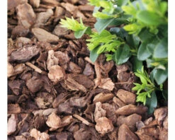 Pinienrinde FloraSelf 20-40 Mm Grob (45 Sack X 50 Liter= 2,25 M³) 1 Palette -FloraSelf Geschäft DV 8 10499992 04 4c DE 20220407164752