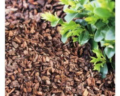 Pinienrinde Fein 7-15 Mm FloraSelf (45 Sack X 50 Liter = 2,25 M³) 1 Palette -FloraSelf Geschäft DV 8 10535862 04 4c DE 20220413174658