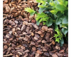 Pinienrinde Mittel 15-25 Mm FloraSelf (45 Sack X 50 Liter = 2,25 M³) 1 Palette -FloraSelf Geschäft DV 8 10535864 04 4c DE 20220413154657