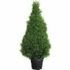 Sicheltanne FloraSelf Cryptomeria Japonica 'Elegans' H 140-160 Cm Co 35 L -FloraSelf Geschäft DV 8 4610985 01 4c CH 20181022061752
