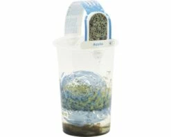 Schwimmfarn FloraSelf Azolla Caroliniana H 2-5 Cm Co 1 L -FloraSelf Geschäft DV 8 4665897 02 4c DE 20191129134756