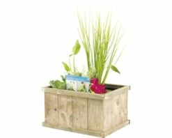 Miniteich 'Brussels Brown' FloraSelf Mit Pflanzen Inkl. Treibring 40 Cm Holzkiste -FloraSelf Geschäft DV 8 4666010 01 4c DE 20210716071651