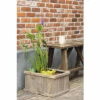 Miniteich 'Brussels Brown' FloraSelf Mit Pflanzen Inkl. Treibring 40 Cm Holzkiste -FloraSelf Geschäft DV 8 4666010 02 4c DE 20210716071651