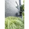Segge FloraSelf Carex Oshimensis 'Evergold' H 5-15 Cm T 14 Cm -FloraSelf Geschäft DV 8 5093951 02 4c DE 20210113091658