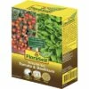 Anzucht-Set Tomate & Basilikum Gemüsesamen FloraSelf
