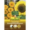 Anzucht-Set Zwergsonnenblumen Blumensamen FloraSelf Nature -FloraSelf Geschäft DV 8 6186420 01 4c DE 20190916151700
