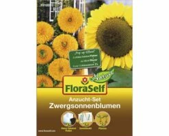 Anzucht-Set Zwergsonnenblumen Blumensamen FloraSelf Nature
