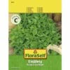 Basilikum Feinblättrig FloraSelf Samenfestes Saatgut Kräutersamen -FloraSelf Geschäft DV 8 6202890 01 4c AT 20190410143024