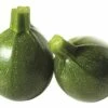 Zucchini FloraSelf Cucurbita Pepo 'Satelite' Ø 10,5 Cm Topf 1 Zucchini FloraSelf Cucurbita Pepo 'Satelite' Ø 10,5 Cm Topf -FloraSelf Geschäft DV 8 6254022 01 4c DE 20200418214654