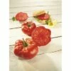 Fleischtomate 'Buffalo Steak' F1 FloraSelf Ø 12 Cm Topf Veredelt 2 Fleischtomate 'Buffalo Steak' F1 FloraSelf Ø 12 Cm Topf Veredelt -FloraSelf Geschäft DV 8 6272281 01 4c DE 20200501051659