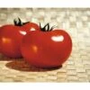Fleischtomate 'Fantasio' F1 FloraSelf Ø 12 Cm Topf Veredelt -FloraSelf Geschäft DV 8 6272287 01 4c DE 20200501051659