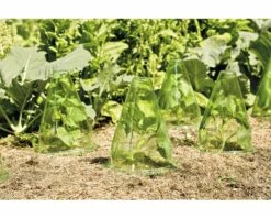 Pflanzenhut FloraSelf Ø 19,5 H 23 Cm 10 Stk -FloraSelf Geschäft DV 8 6425358 02 4c DE 20180308232759