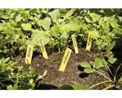 Pflanzenschilder, Holz-Stecketiketten FloraSelf 25 Stk 7 Pflanzenschilder, Holz-Stecketiketten FloraSelf 25 Stk -FloraSelf Geschäft DV 8 6425393 01 4c DE 20180308211636