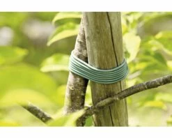 Mitwachsende-Schnur FloraSelf Kunststoff 23 M Ø 3 Mm -FloraSelf Geschäft DV 8 6425415 01 4c DE 20180118174124