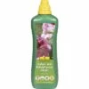 Balkonpflanzendünger Und Kübelpflanzendünger FloraSelf 1 L -FloraSelf Geschäft DV 8 6503659 01 4c DE 20190916151800