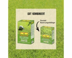 Rasensamen FloraSelf Sport- Und Spielrasen 1,2 Kg 50 M² -FloraSelf Geschäft DV 8 6542564 03 4c AT 20230125111752