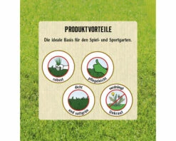 Rasensamen FloraSelf Sport- Und Spielrasen 1,2 Kg 50 M² -FloraSelf Geschäft DV 8 6542564 04 4c AT 20230125111752