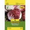 Radicchio 'Palla Rossa 2' FloraSelf Samenfestes Saatgut Gemüsesamen -FloraSelf Geschäft DV 8 6568201 03 4c DE 20180111182529