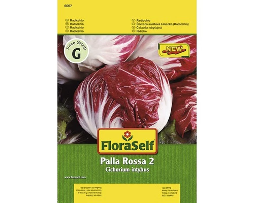 Radicchio 'Palla Rossa 2' FloraSelf Samenfestes Saatgut Gemüsesamen 3 Radicchio 'Palla Rossa 2' FloraSelf Samenfestes Saatgut Gemüsesamen