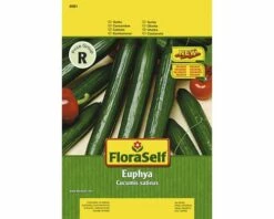 Gurke 'Euphya' FloraSelf F1 Hybride Gemüsesamen