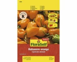 Chili 'Habanero' FloraSelf Select Samenfestes Saatgut Gemüsesamen