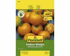 Tomate 'Goldene Königin' FloraSelf Samenfestes Saatgut Gemüsesamen
