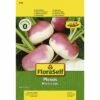 Herbstrübe 'Plessis' FloraSelf F1 Hybride Gemüsesamen -FloraSelf Geschäft DV 8 6568226 03 4c DE 20180111191051