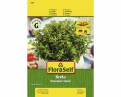 Oregano 'Kreta' FloraSelf Samenfestes Saatgut Kräutersamen