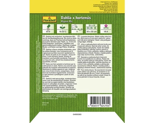 Dahlie 'Mignon' FloraSelf Samenfestes Saatgut Blumensamen 4 Dahlie 'Mignon' FloraSelf Samenfestes Saatgut Blumensamen – Bild 2