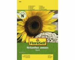 Sonnenblume 'Snack' FloraSelf Samenfestes Saatgut Blumensamen